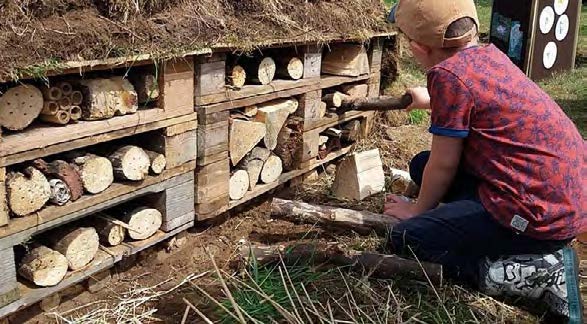 Young person creating a bee hotel. Image credit, Gill Smart SWT