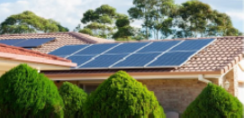 Solar panelled home roofs surrounded by trees.