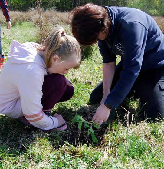 Two people planting native species. Image credit Harry Richards, SWT