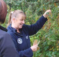 North Ayrshire Biodiversity Partnership partners discuss the Arran Whitebeam. Image  credit Alistair Allan.