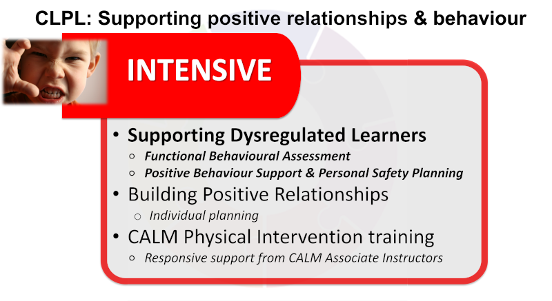 Approach: intensive. Supporting dysregulated learners (functional behavioural assessment, positive behaviour support & personal safety). Building positive relationships. Calm physical intervention training.