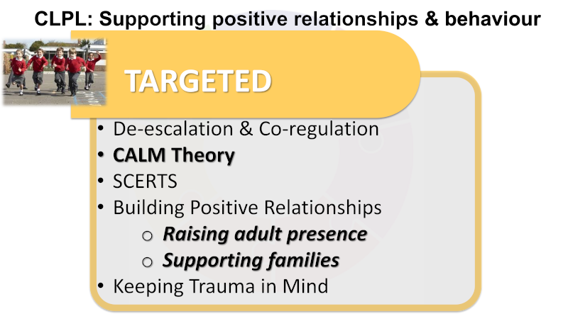 Approach: Targeted. De-escalation & co-regulation. Calm theory. Building positive relationships (raising adult presence, supporting families). Keeping trauma in mind.
