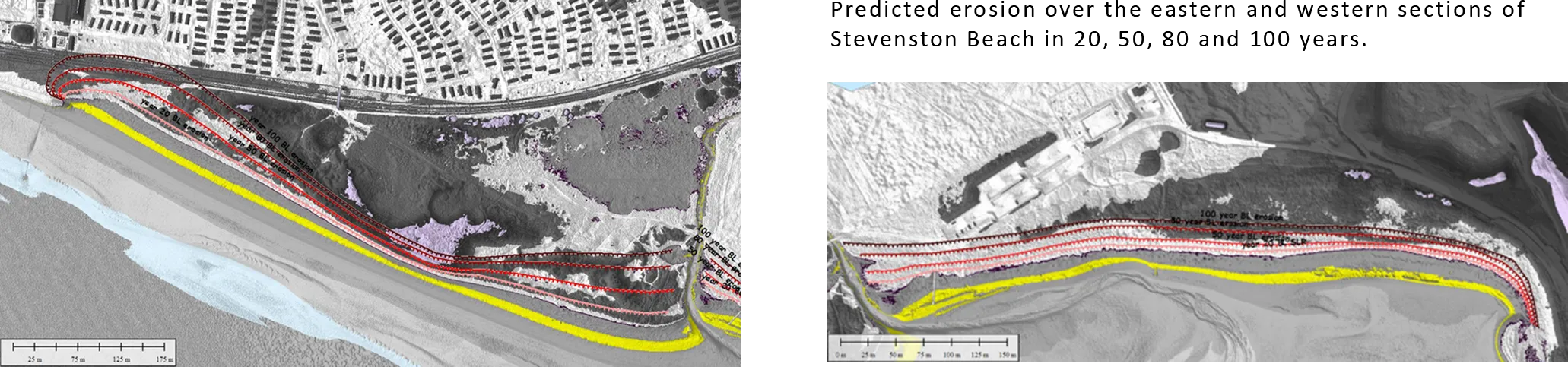 Predicted erosion over the eastern and western sections of Stevenston Beach in 20, 50, 80 and 100 years