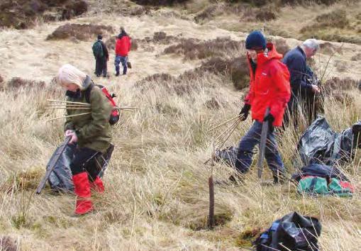 Volunteers plant trees at Clyde Muirshiel Regional Park