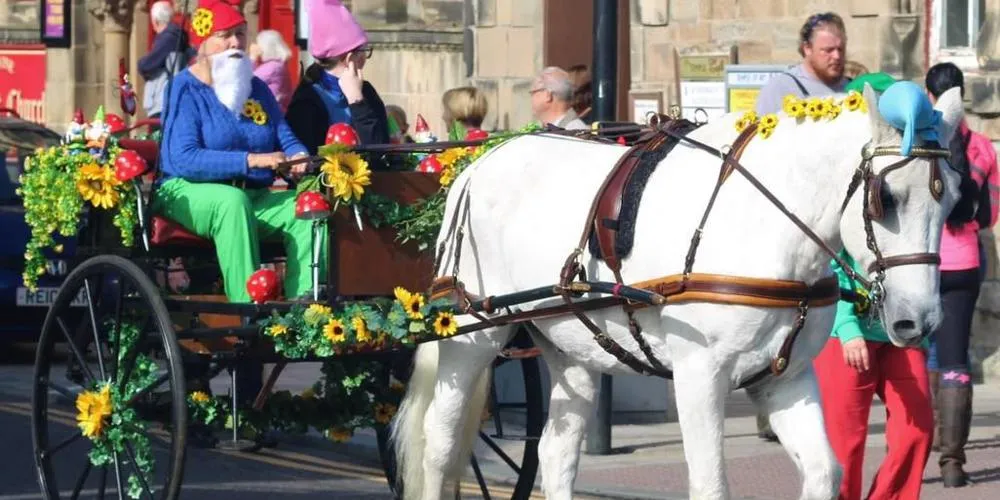 Man with fake white beard drives horse and cart, which is covered in flowers