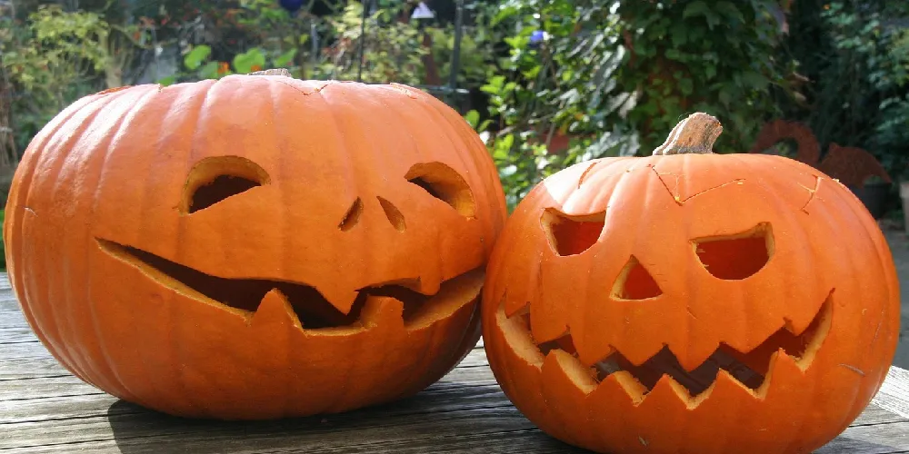 Two carved pumpkin lanterns