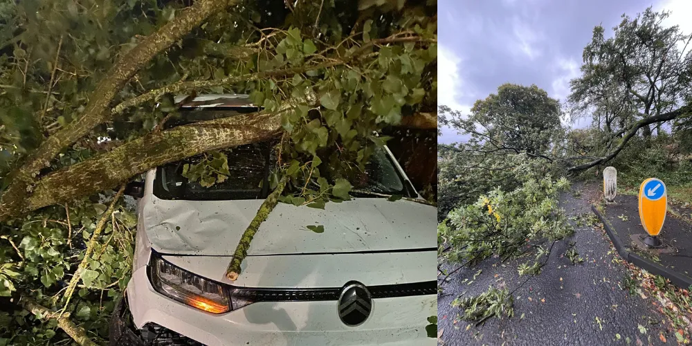 A car with a tree on top of it and another fallen tree across a road