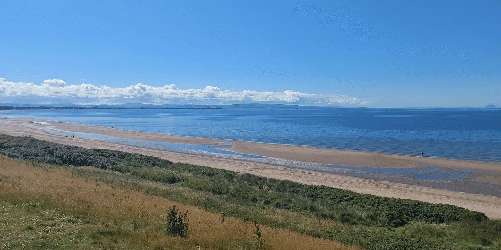 A beach with some grassy areas on a sunny day