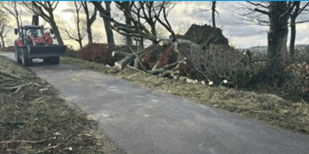 A tractor on Whitehirst Park Road - the back road to Stevenston - clearing trees