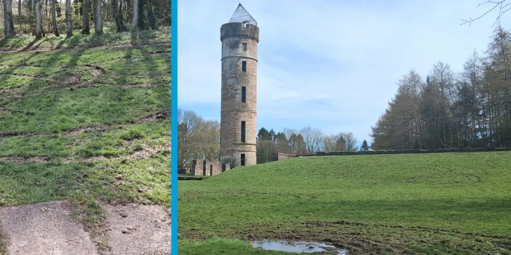 Damaged grassland at Eglinton Country Park and castle