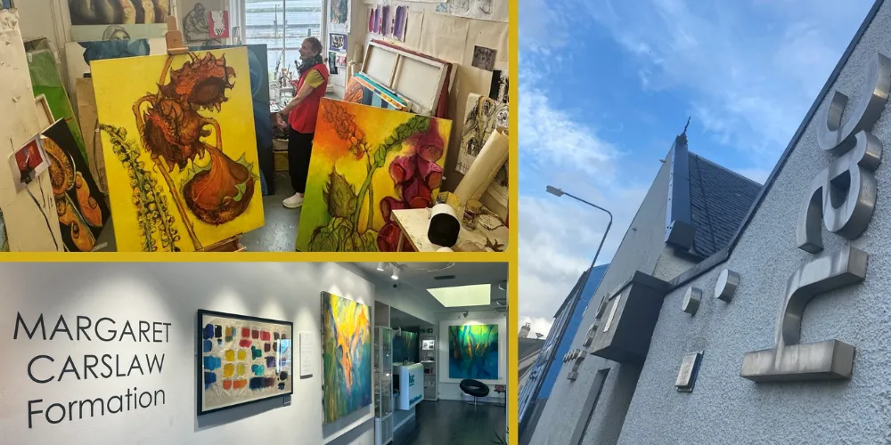 New HAC exhibition photos with paintings and artist