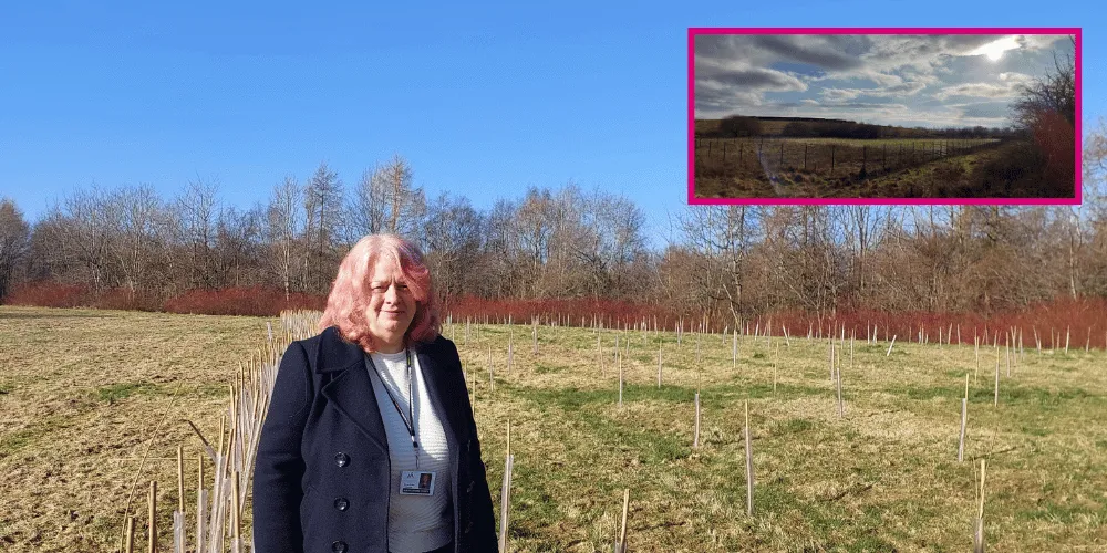 A woman standing in a field with freshly-planted trees around her, with an insert image of trees at a solar farm